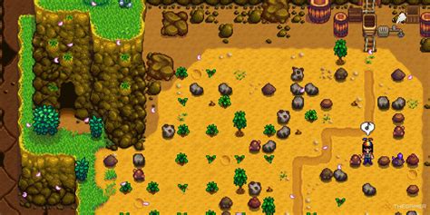 how to unlock casino stardew|Stardew Valley .